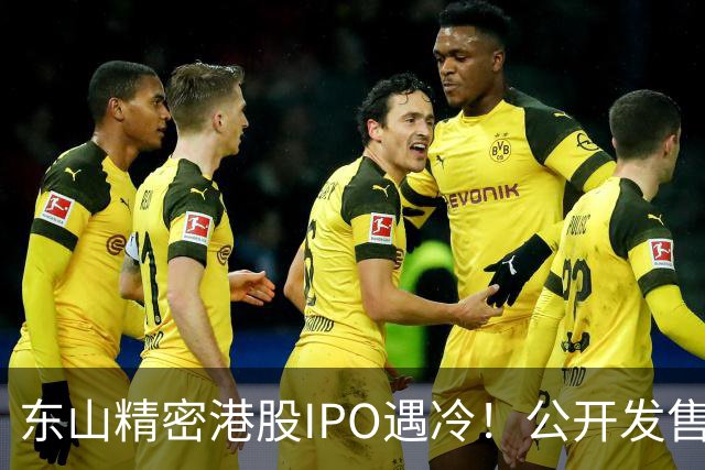 东山精密港股IPO遇冷！公开发售不足一倍，散户100%中签，前日暗盘收跌7.43%